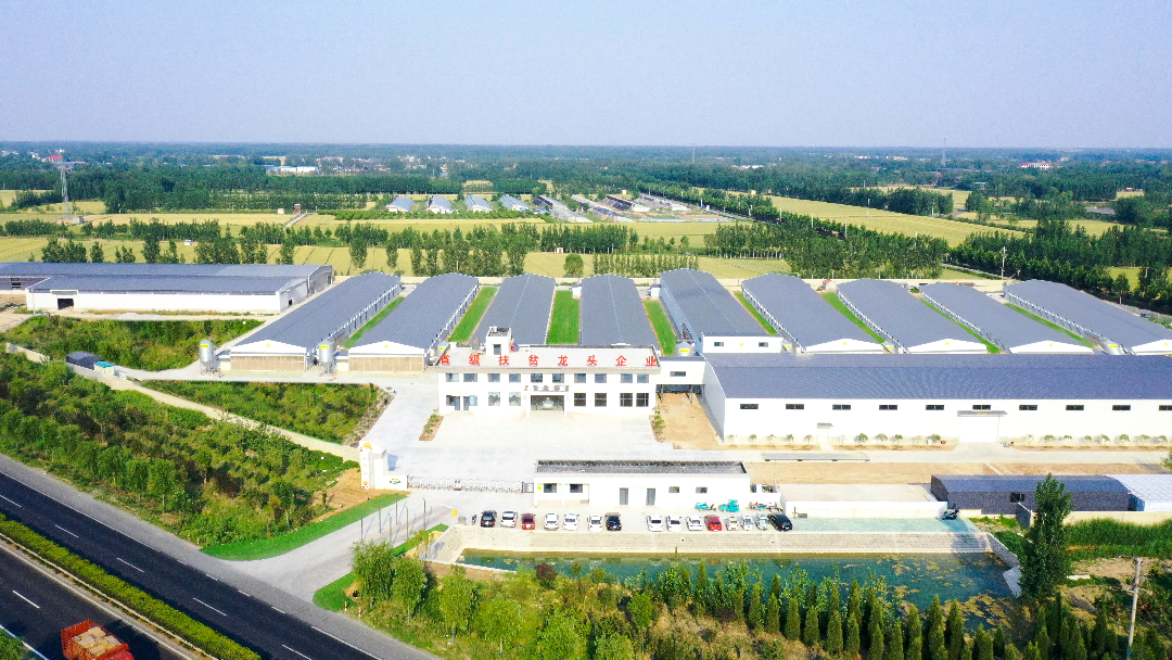 長田樂享超鮮蛋農場